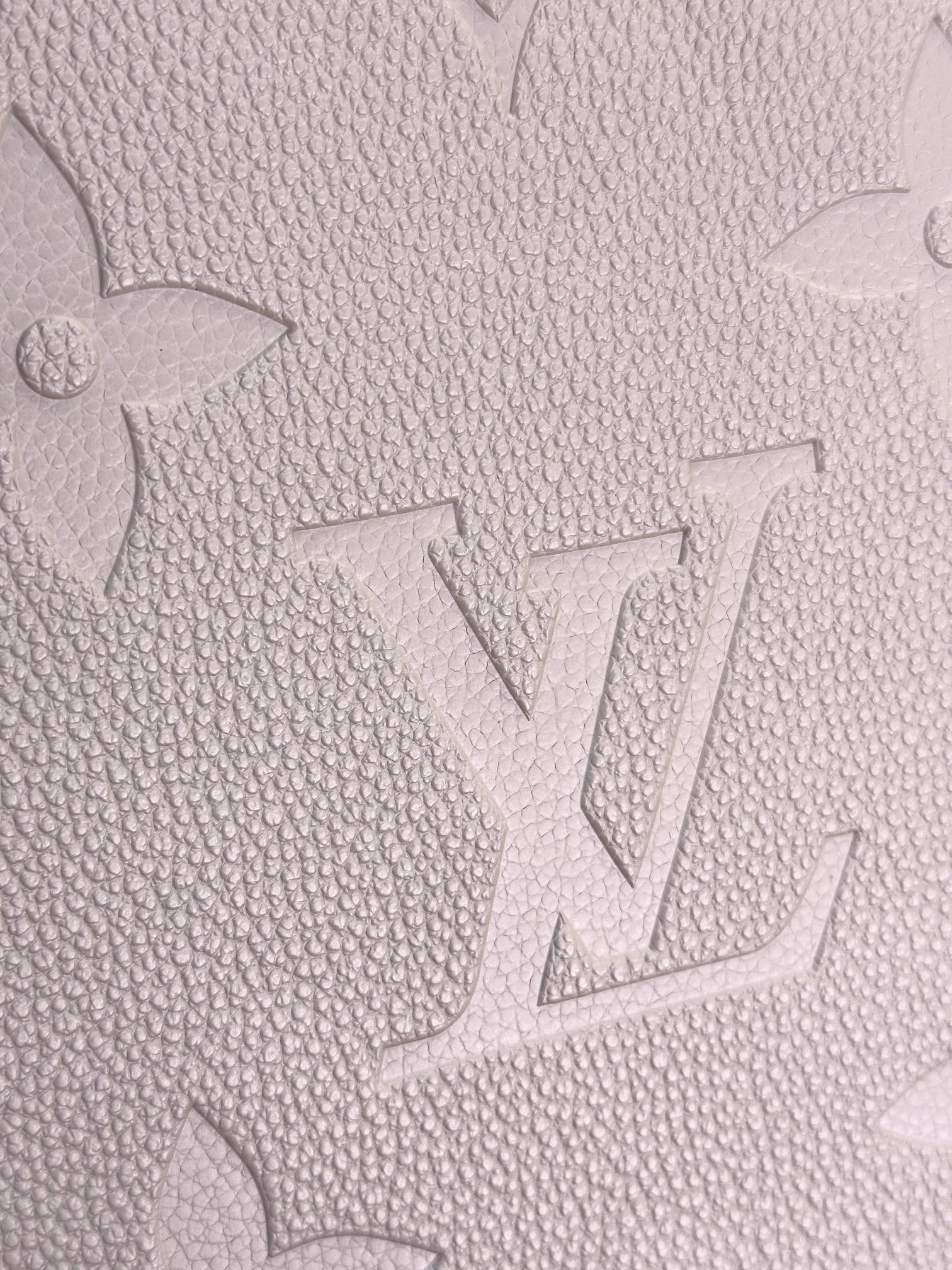 LV Shopping Bags